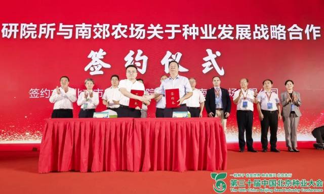 北京市农林科学院成果转化处处长秦向阳、北京市南郊农场有限公司书记曾浩代表双方签订科研院所与南郊农场关于种业发展战略合作签约。