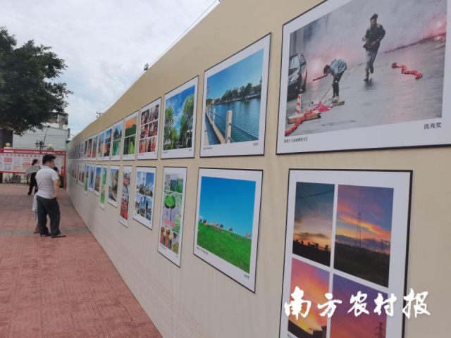 文化展区和摄影作品展区