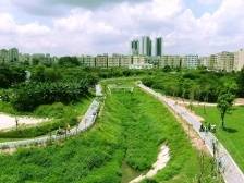 南方观察｜城市文明谱新篇！聚焦生态宜居建设美丽塘厦