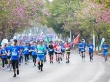 官宣！2023肇庆马拉松定档11月26日