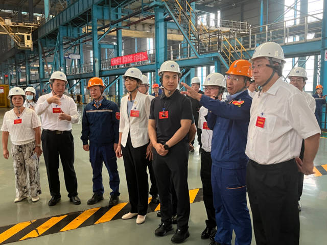 全国人大代表专题调研组在中南钢铁股份有限公司调研。