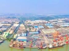 苏程佳：组合港构建湾区海上物流大通道