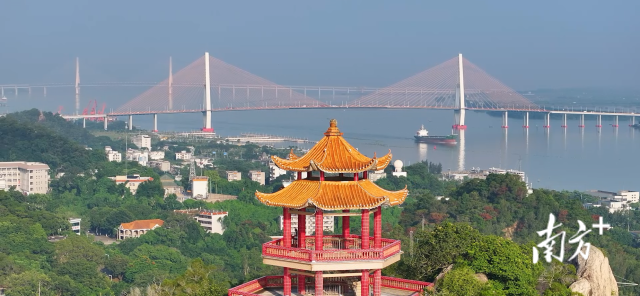 受访者供图