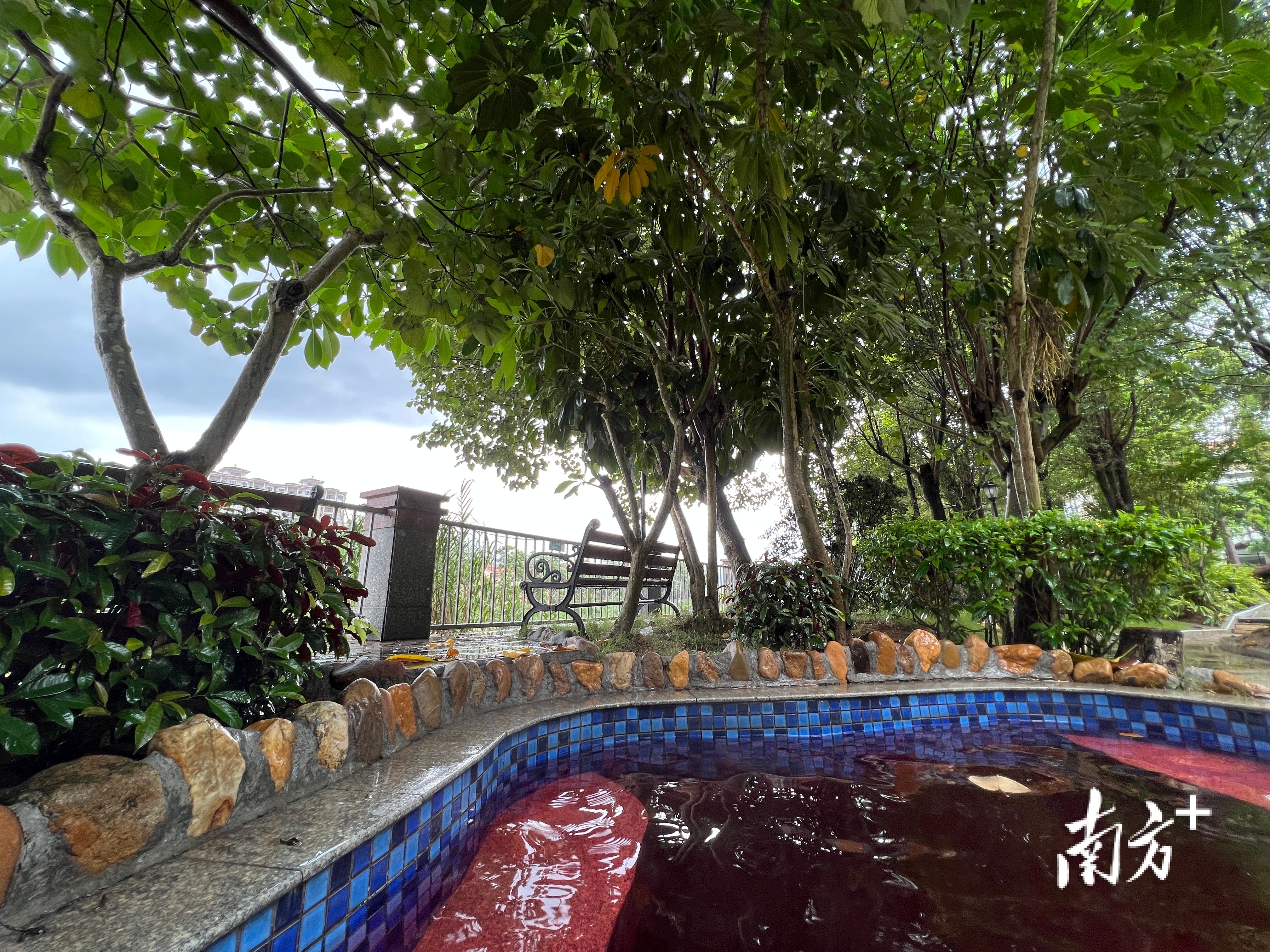 山泉湾温泉城推出秋冬特色的艾叶池、枸杞池、首乌池、当归池等。