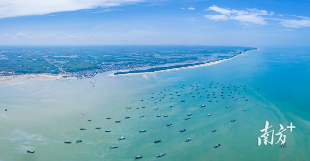 中国第一甜县遂溪如何让产业更兴