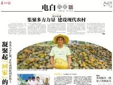 集聚多方力量 建设现代农村 | 速览《南方日报·电白视窗》140期