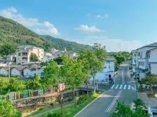 三棋并落，盘活梅县区雁洋镇发展“家底”|竞跑百千万·梅县镇能量⑪