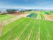 武江区重阳镇委书记李佳月：争创省级水上无动力运动中心，促进三产融合发展