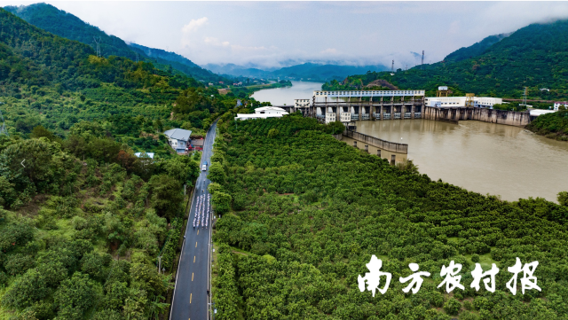 在梅州梅县松口古镇专场，跑者在“绿”中穿梭。