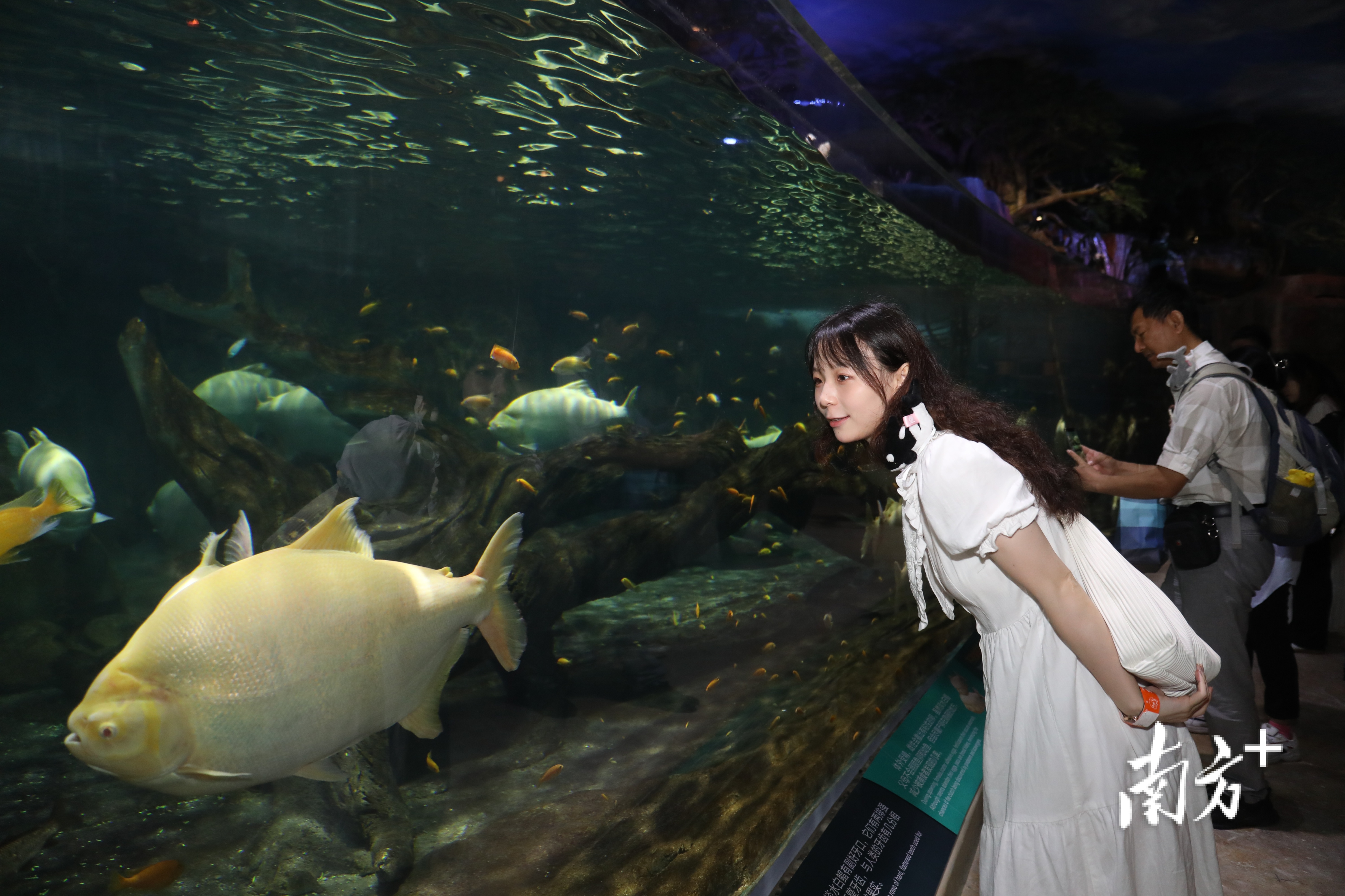 长隆宇宙飞船内一景。 南方+记者 钱文攀 拍摄