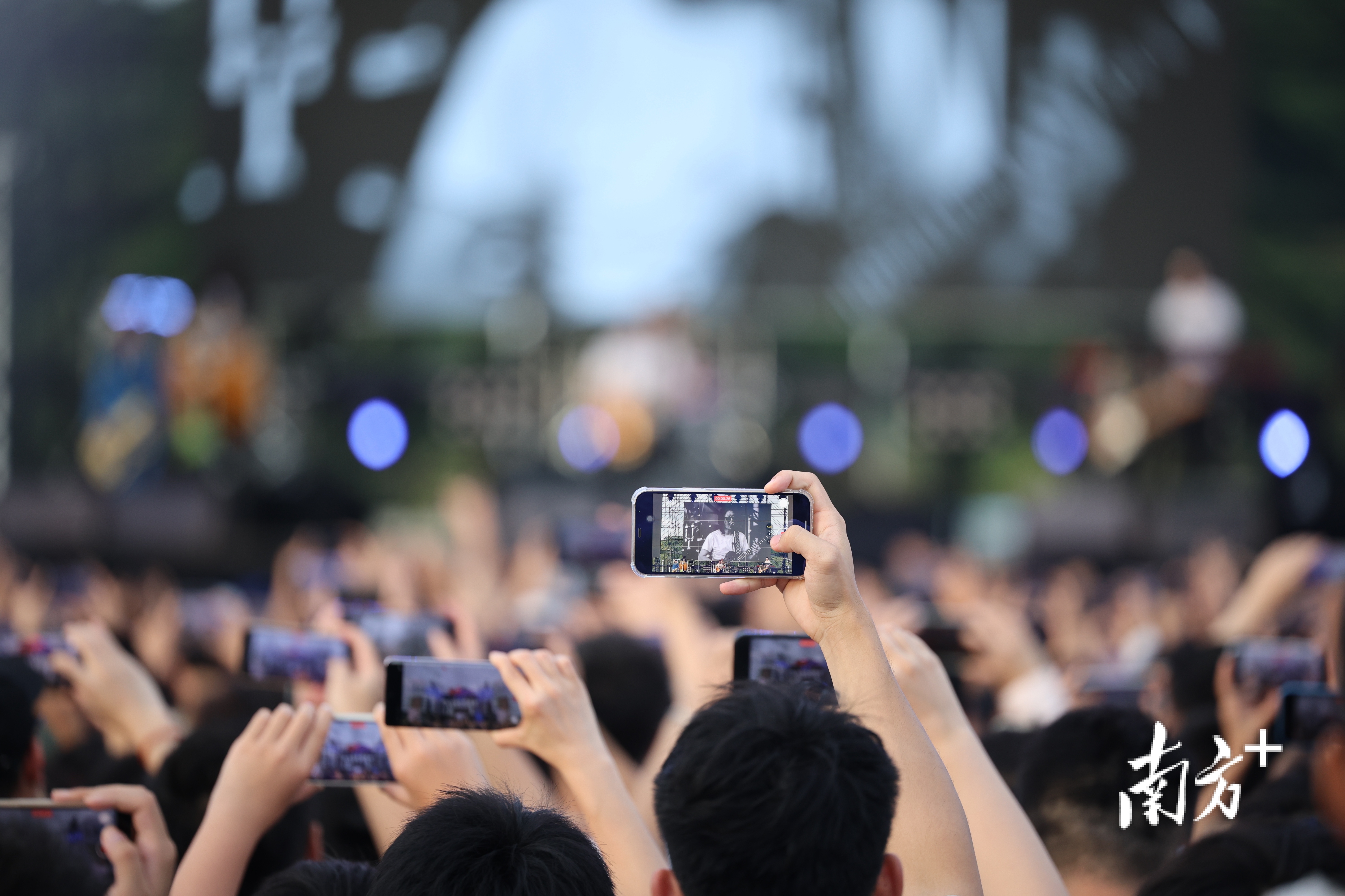 草莓音乐节受到年轻人喜爱。 南方+记者 关铭荣 拍摄