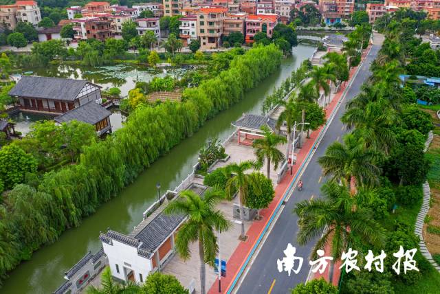 南庄镇紫南村。