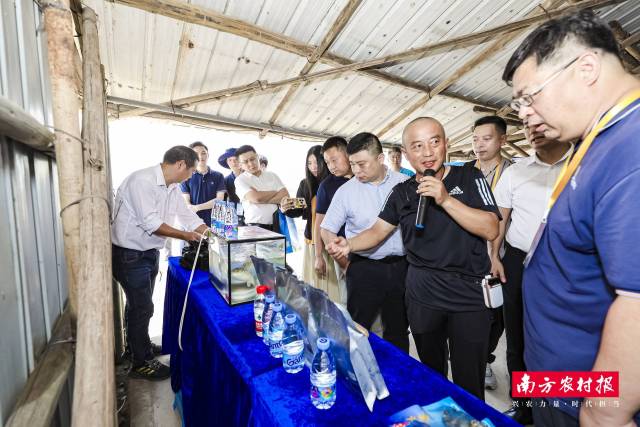 企业家走进坦洲水产养殖基地调研项目情况。