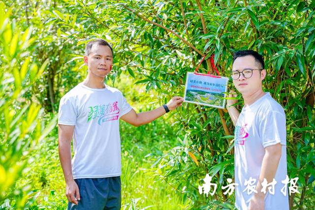 跑者为家乡添绿。