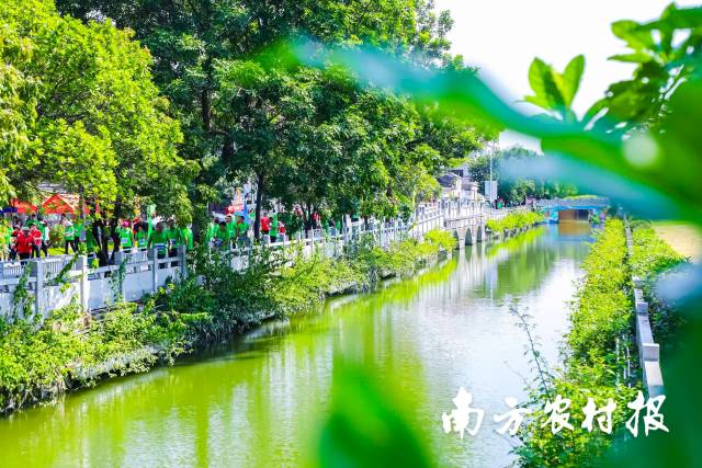 紫南村绿美景色。