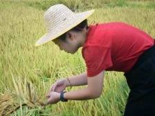 兴宁黄槐镇：“产业村长”齐上岗，产业振兴正当时