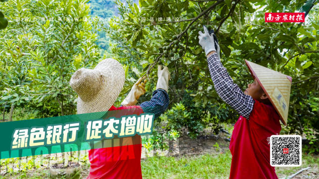 南方农村报 黎祖瑜 制图