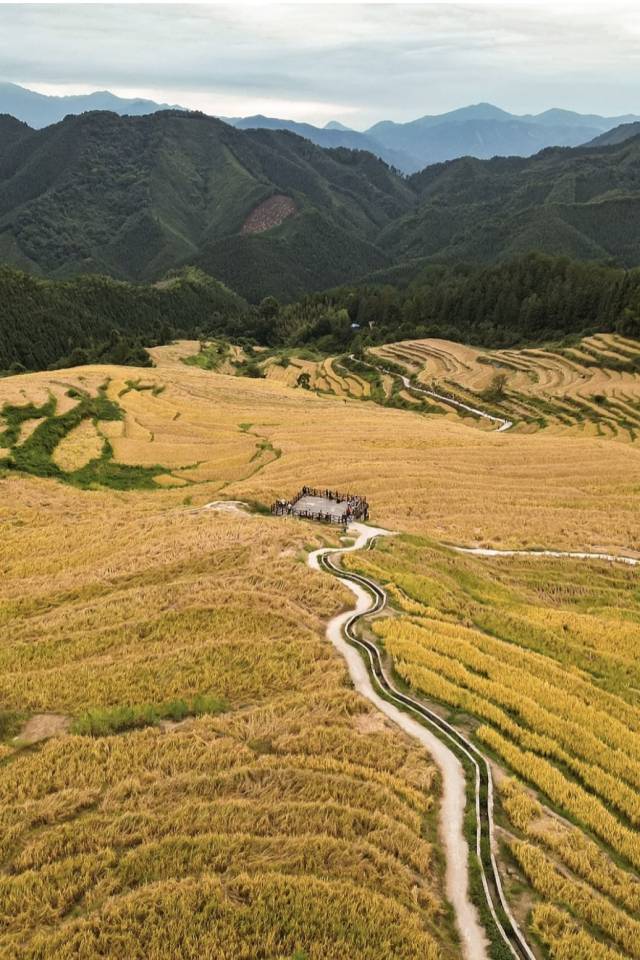 摄影：小红书用户@陈嘉嘉Minnie