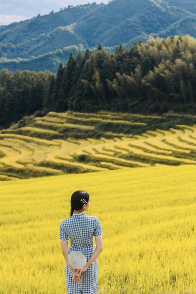 摄影：小红书用户@心宝宝啦