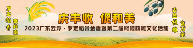 如何筑牢“南粤粮仓”？看看云浮罗定稻米产业专题报告会怎么说