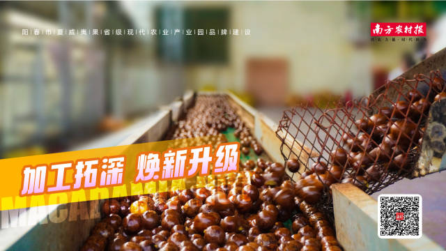 南方农村报 黎祖瑜 制图