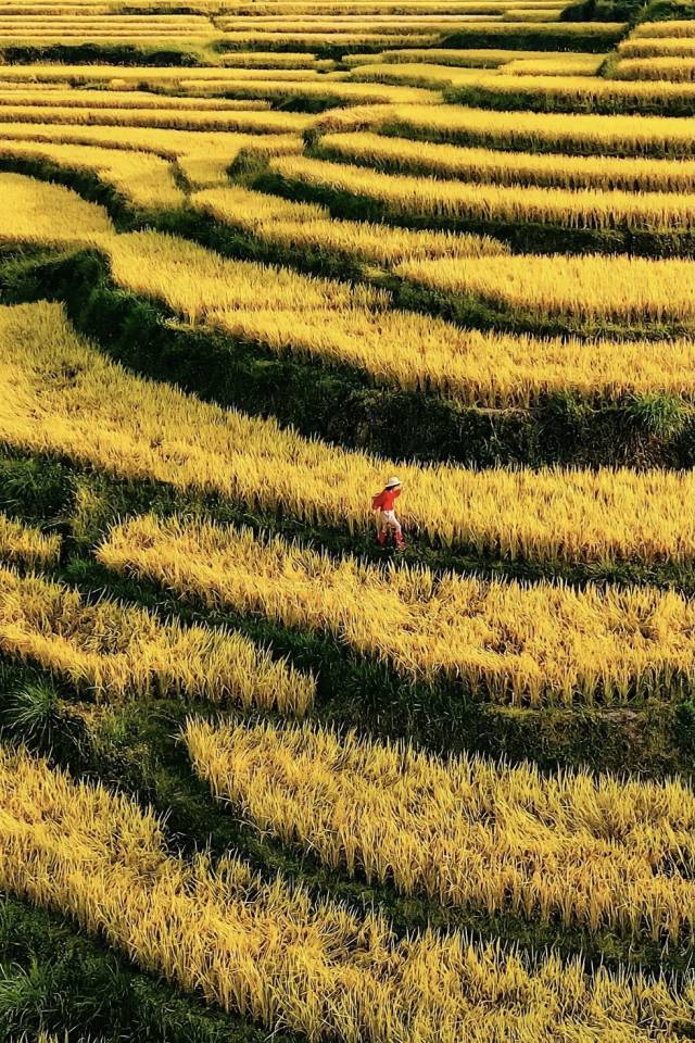 摄影：小红书用户@郭小yan