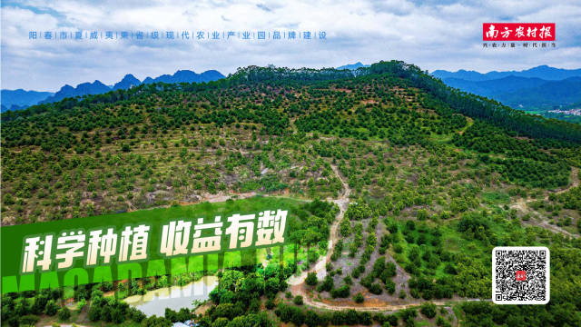 南方农村报 黎祖瑜 制图