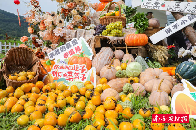 瓜果飘香，丰收满仓。现场设置了广州市名优农特产、从化五镇三街农特产展