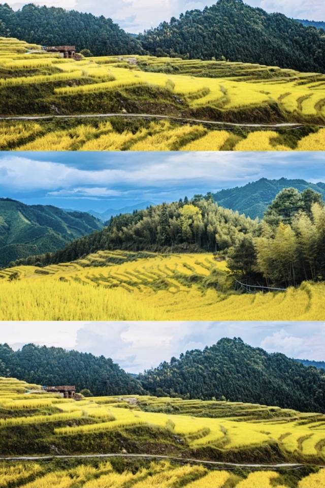 摄影：小红书用户@心宝宝啦