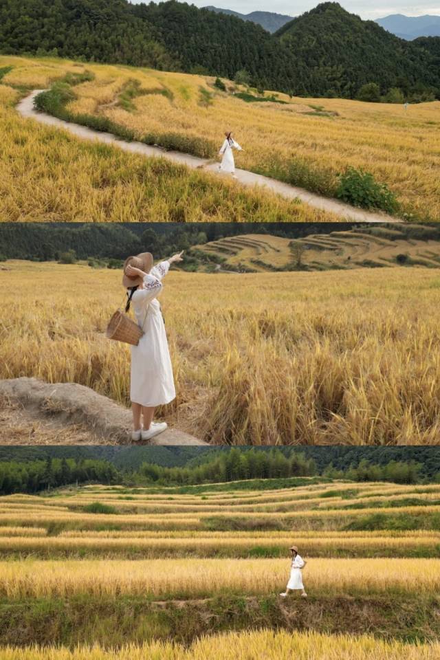 摄影：小红书用户@陈嘉嘉Minnie