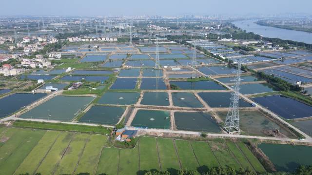 中山三角水产养殖。