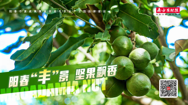 南方农村报 黎祖瑜 制图