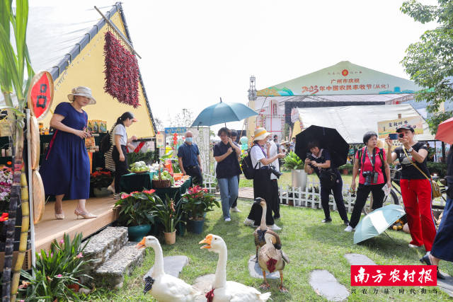 充满田园生机的从化五镇三街展示区