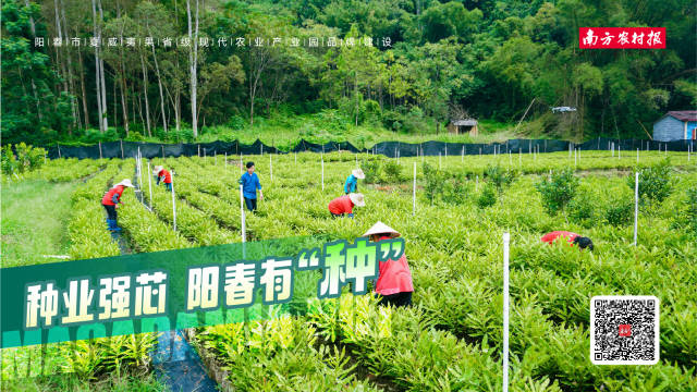 南方农村报 黎祖瑜 制图