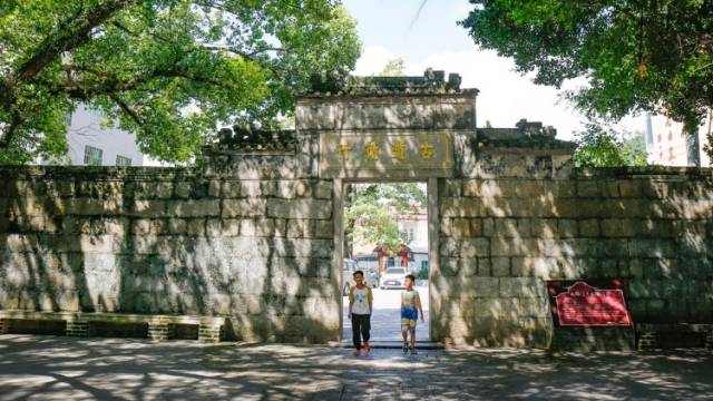 南方+视频｜岐澳古道通四海，古鹤乡亲遍五洲