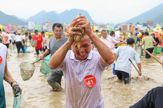徒手抓鱼，感受丰收之乐