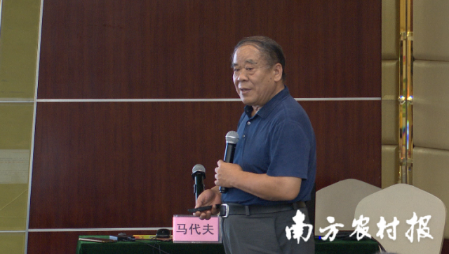 国家甘薯产业技术体系原首席、徐州市农业科学院研究员马代夫