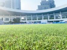 女足亚运队大胜之地，草坪由广东企业提供