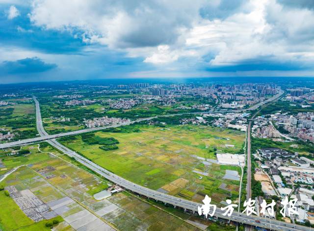 南方农村报 谭家富 拍摄