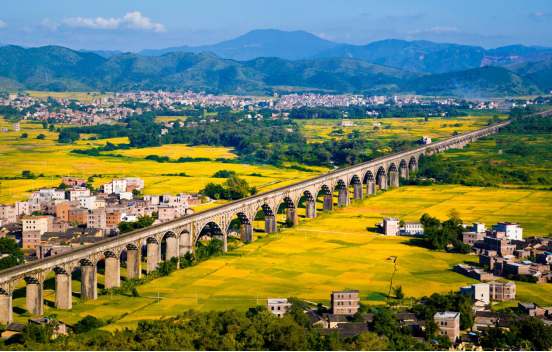 《醉美田园》-罗平鎭 沈伟迅