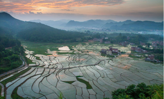 《田园晨曦》-张轩明