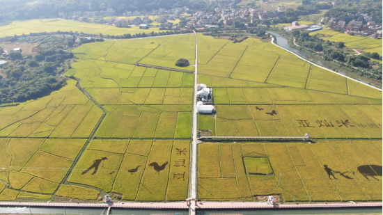 《泗纶亚灿米基地航拍图》-林科 黄通