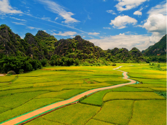 《苹塘镇田园风光》-陈庆林
