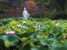 警贪扬廉净身心——探访连州周敦颐“廉泉之源”摩崖石刻