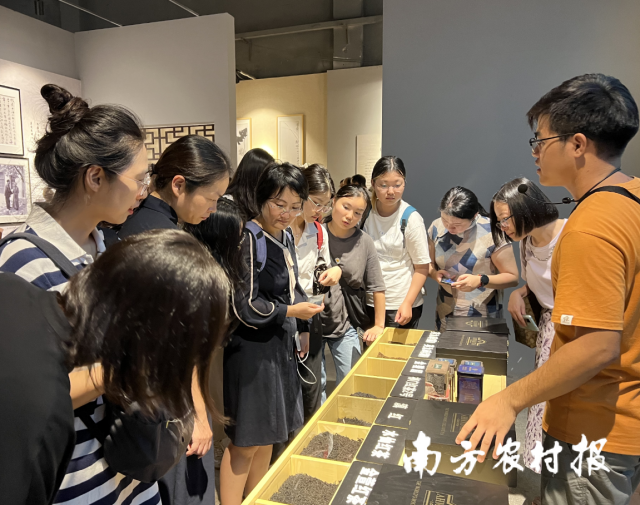 走访调研现场。