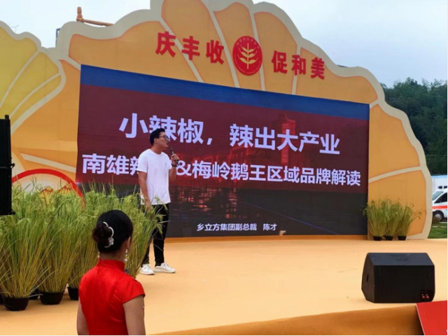 乡立方集团副总裁陈才在南雄丰收节主会场进行“南雄辣椒&梅岭鹅王区域品牌解读”