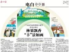 林果飘香“丰”景如画 | 速览《南方日报·电白视窗》141期