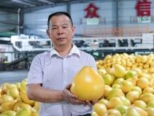 大黄村“产业村长”廖志君：小小梅州柚闯出大市场|产业村长上岗 乡村振兴有方⑦