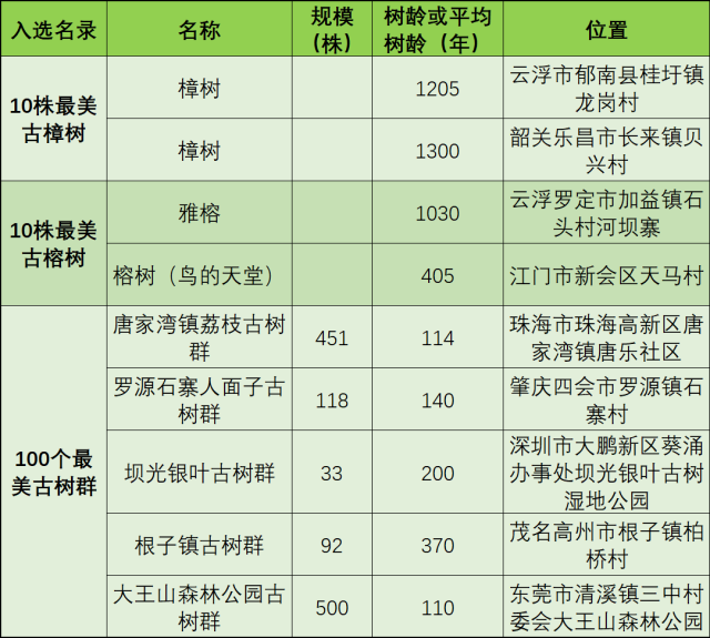 广东入选“双百”古树名单