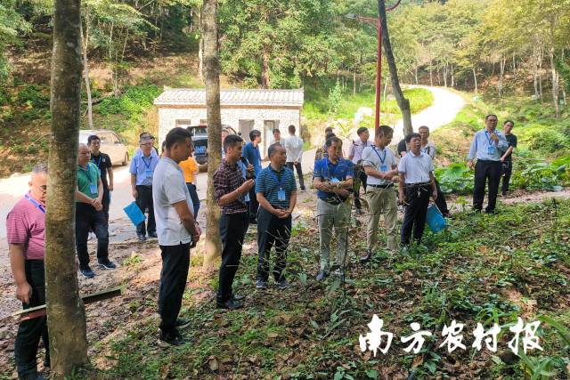 视察组一行到金秀粤桂协作项目——香草岭瑶药标准化种植基地实地察看